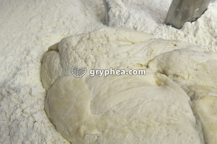 Fabrication du pain - Levain ajouté à la pâte à pain - gryphea.com